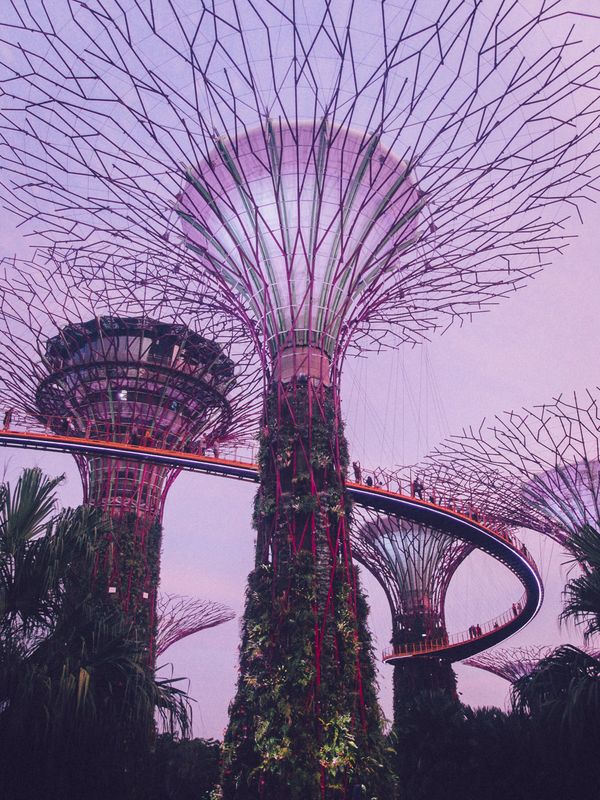 Gardens by the Bay